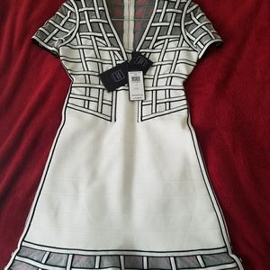 Herve leger dress